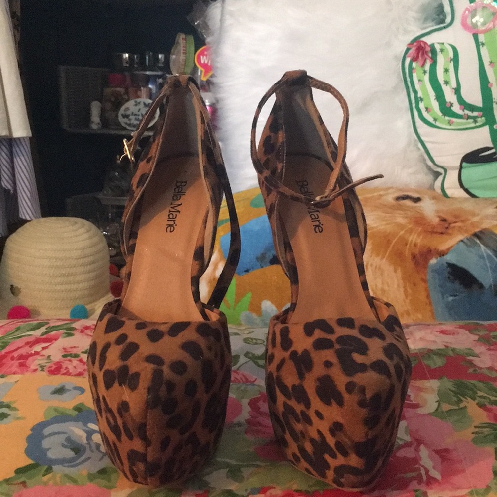 Cat feet